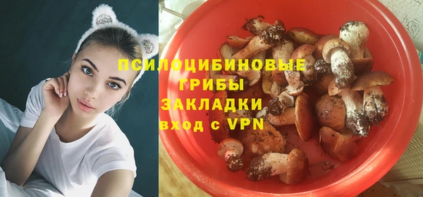 ALPHA-PVP Киреевск