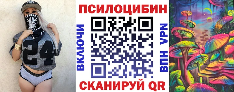 Галлюциногенные грибы мицелий  Купить  Инсар 
